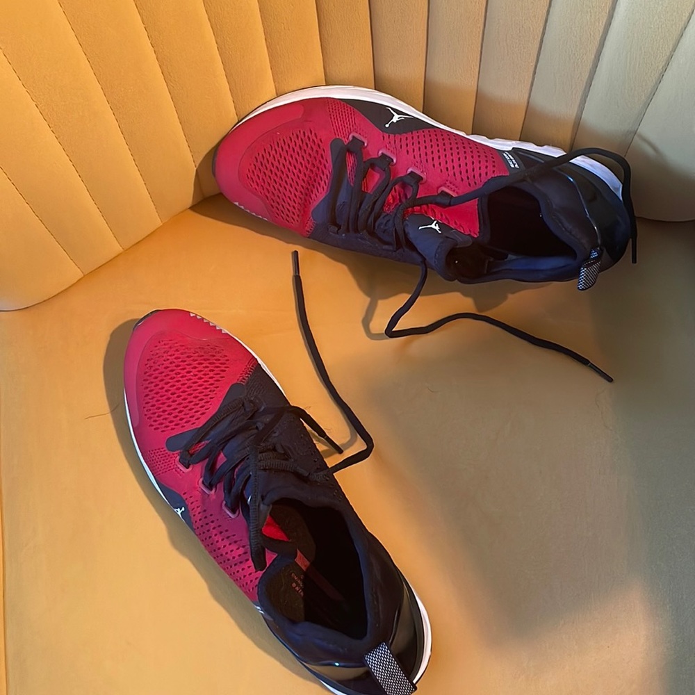 Air Jordan sneakers worn once